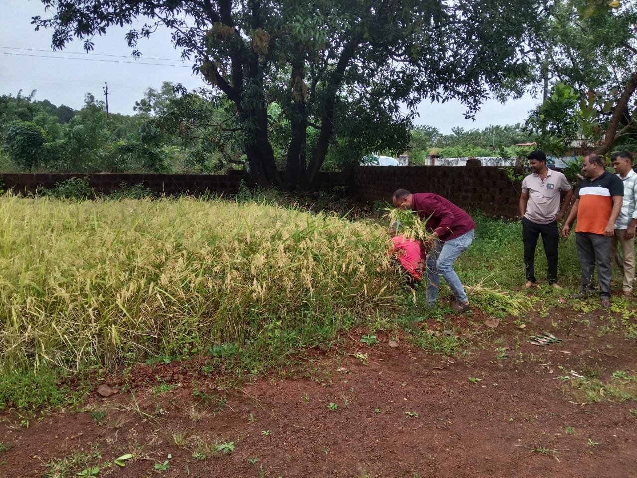 WhatsApp Image 2026-01-13 at 9.52.04 PM (2)