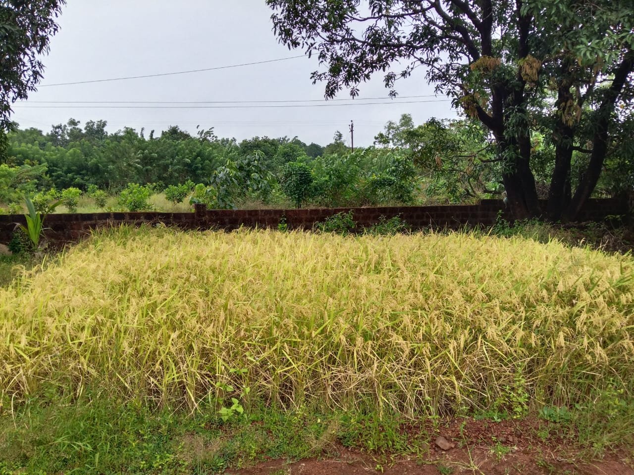 WhatsApp Image 2026-01-13 at 9.52.09 PM (1)