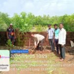 साफसफाई